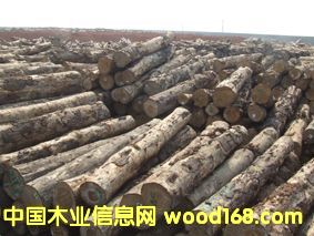 ��ľ��Ԕ����B