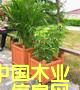 �c(di��n)���鿴�@�־��^����ľ�Ŵ�DƬ