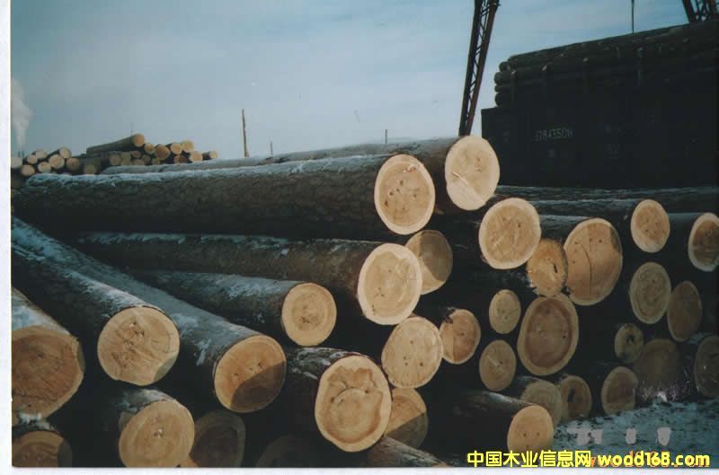 �����|����ľ��Ԕ��(x��)��B