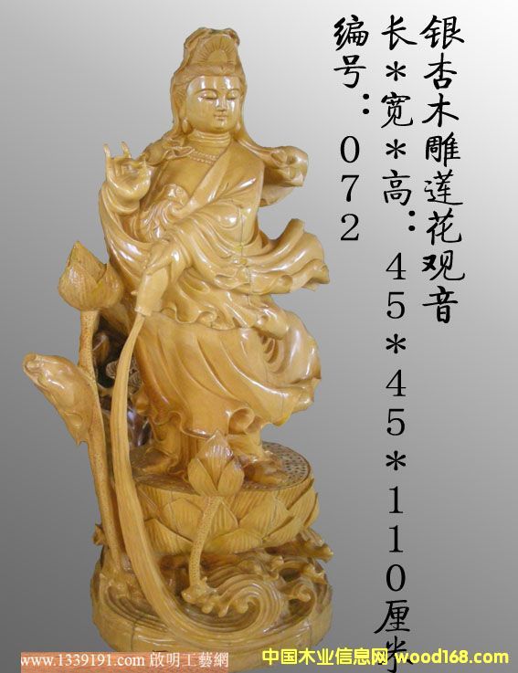 �c���鿴�y��ľ��ɏ���^���Ŵ�DƬ