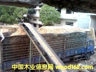 �c���鿴��܇ľƬ�Ŵ�DƬ