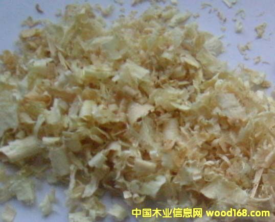 �c(di��n)���鿴�ٻ��Ŵ�DƬ