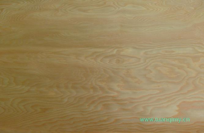 ���~����Ƥ��Ԕ��(x��)��B