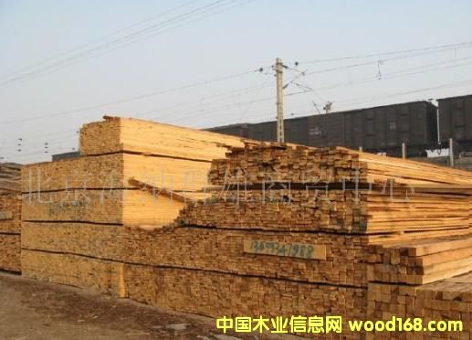 ľ��4��9��5��8