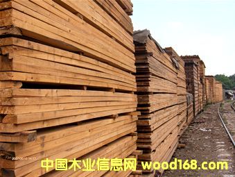 �c(di��n)���鿴��ľ5��8��4��9�Ŵ�DƬ