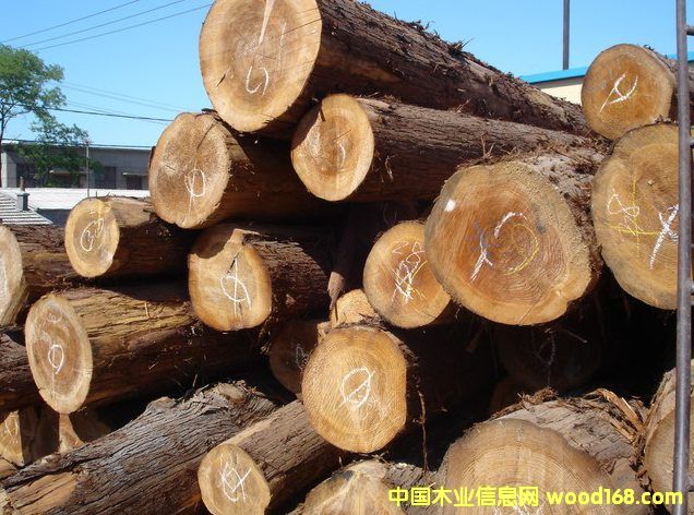 �c(di��n)���鿴��ɼ�Ŵ�DƬ