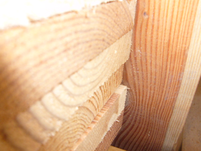 �c(di��n)���鿴�ٹ�ķŴ�DƬ