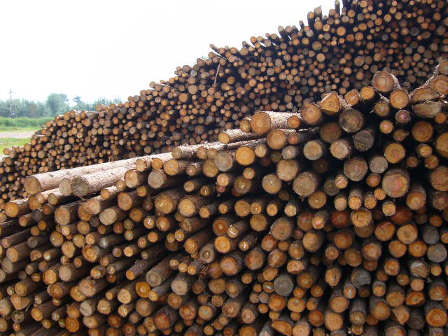 �c(di��n)���鿴ɼľ�Ŵ�DƬ