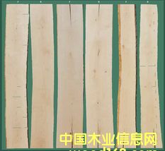 �c(di��n)���鿴��ľ��ķŴ�DƬ