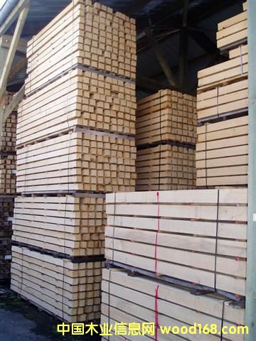 �c(di��n)���鿴��ľ�ͲķŴ�DƬ