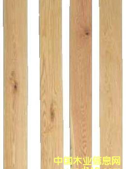 �c(di��n)���鿴�����t��Ŵ�DƬ