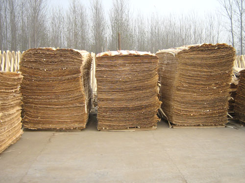 �c(di��n)���鿴����ľ�I(y��)�Ŵ�DƬ