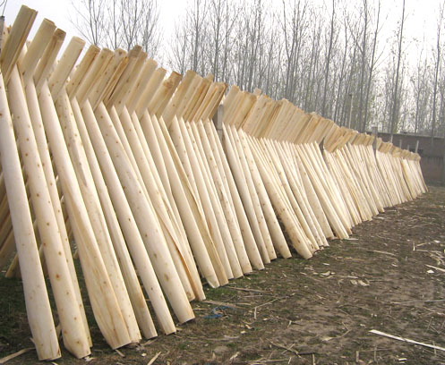 �c(di��n)���鿴����ľ�I(y��)�Ŵ�DƬ