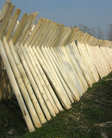 �c(di��n)���鿴����ľ�I(y��)�Ŵ�DƬ