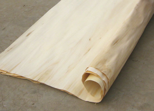 �c(di��n)���鿴����ľ�I(y��)�Ŵ�DƬ