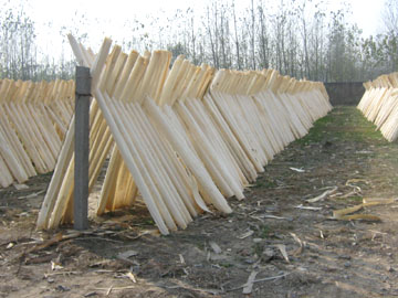 �c(di��n)���鿴����ľ�I(y��)�Ŵ�DƬ