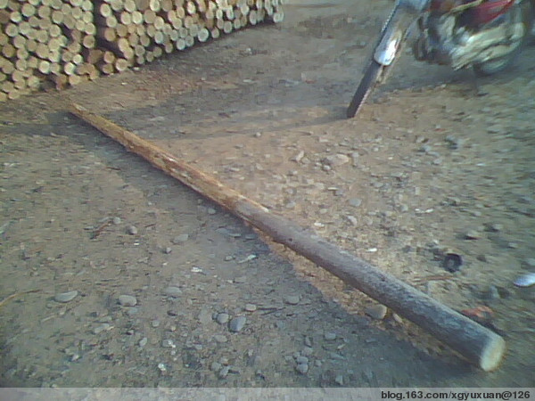 �c���鿴ɼԭľ(�D)�Ŵ�DƬ