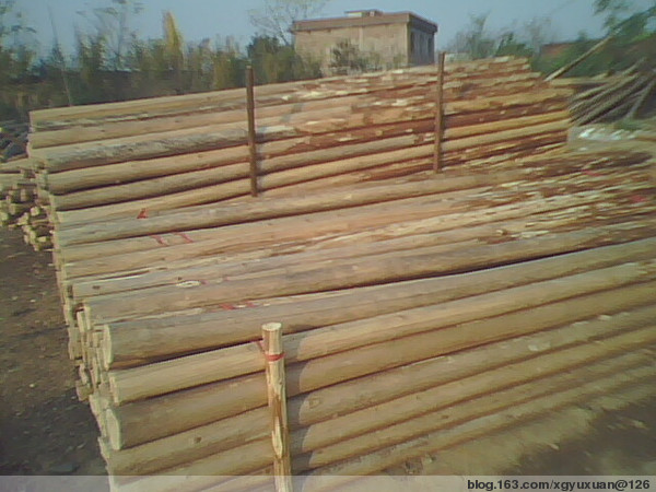 �c���鿴ɼԭľ(�D)�Ŵ�DƬ