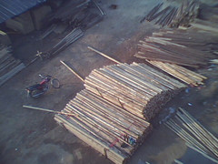 �c���鿴ɼԭľ(�D)�Ŵ�DƬ