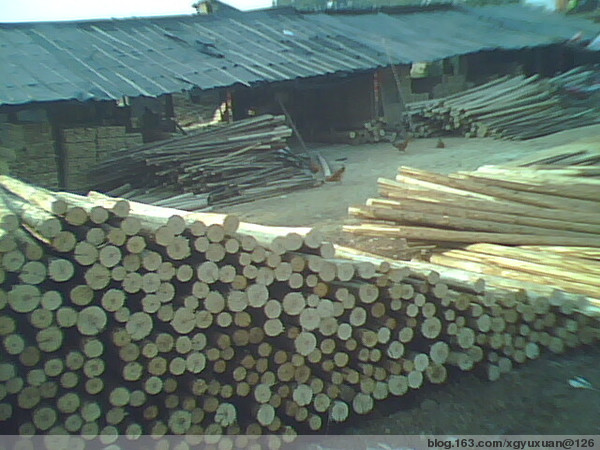 �c���鿴ɼԭľ(�D)�Ŵ�DƬ