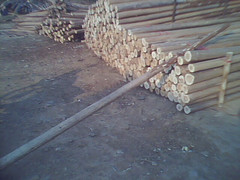 �c���鿴ɼԭľ(�D)�Ŵ�DƬ