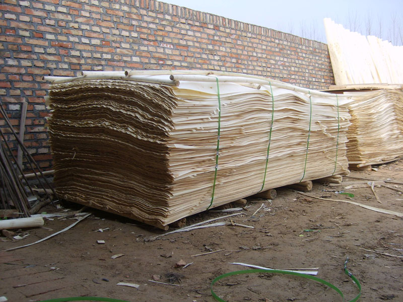 �c(di��n)���鿴��ľ����Ƥ�Ŵ�DƬ