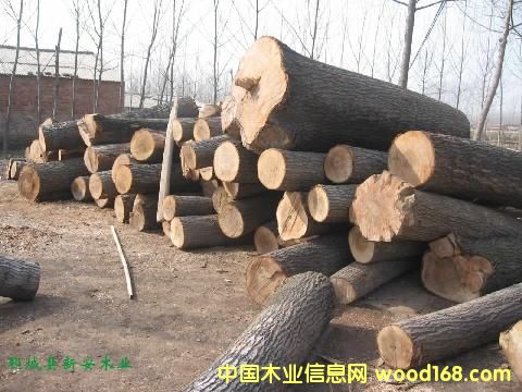 �c(di��n)���鿴ԭľ����Ŵ�DƬ