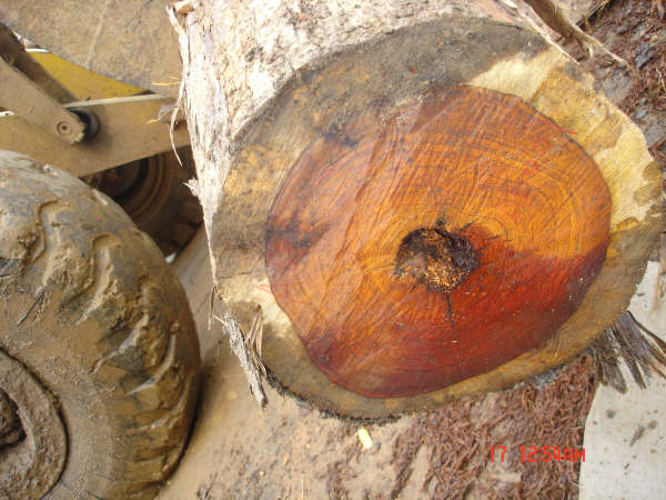 �c(di��n)���鿴�S̴�Ŵ�DƬ