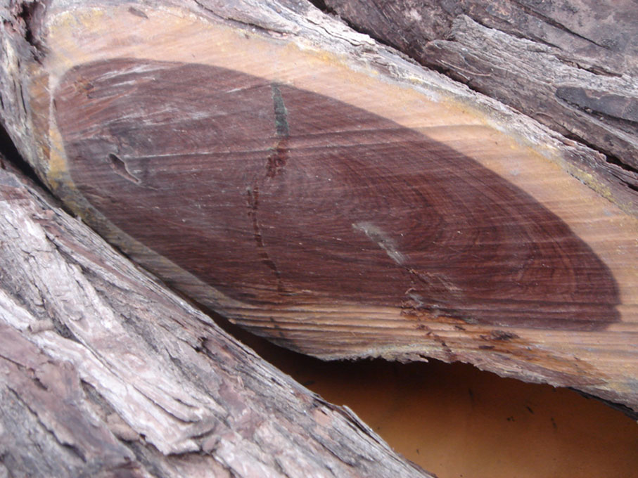 �c(di��n)���鿴���P̴�Ŵ�DƬ