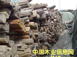 �ϓ�t��֦,���ϵ�Ԕ��(x��)��B