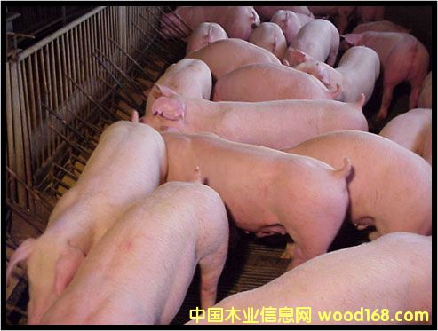 �c(di��n)���鿴������Ԫ���i�Ŵ�DƬ