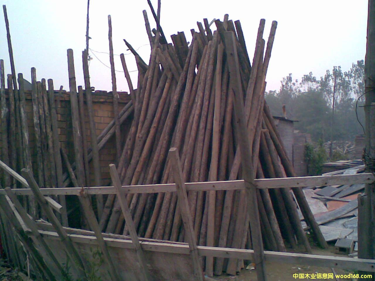 �c���鿴�Aľ�Ŵ�DƬ