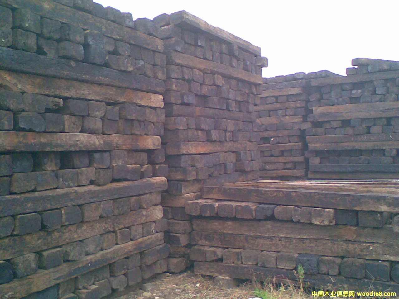 �c���鿴��ľ�Ŵ�DƬ