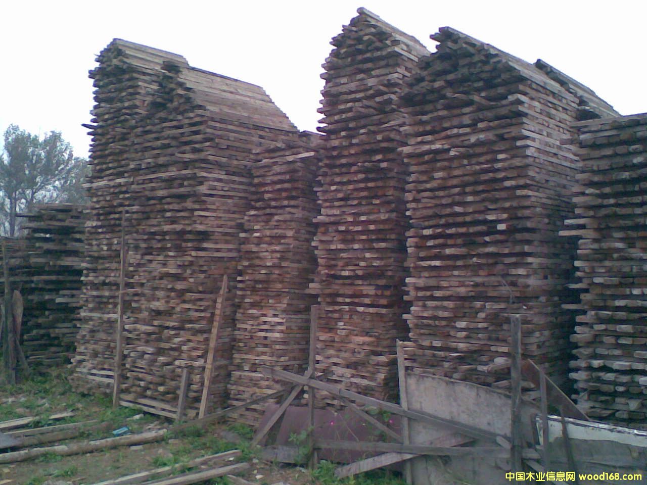 �c���鿴��ľ�Ŵ�DƬ