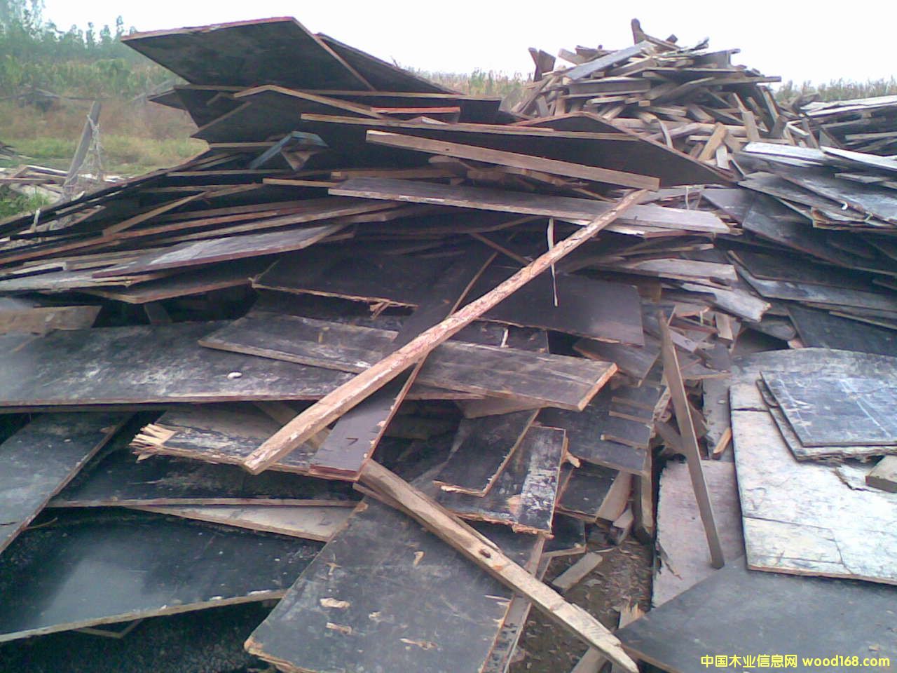 �c���鿴��ķŴ�DƬ