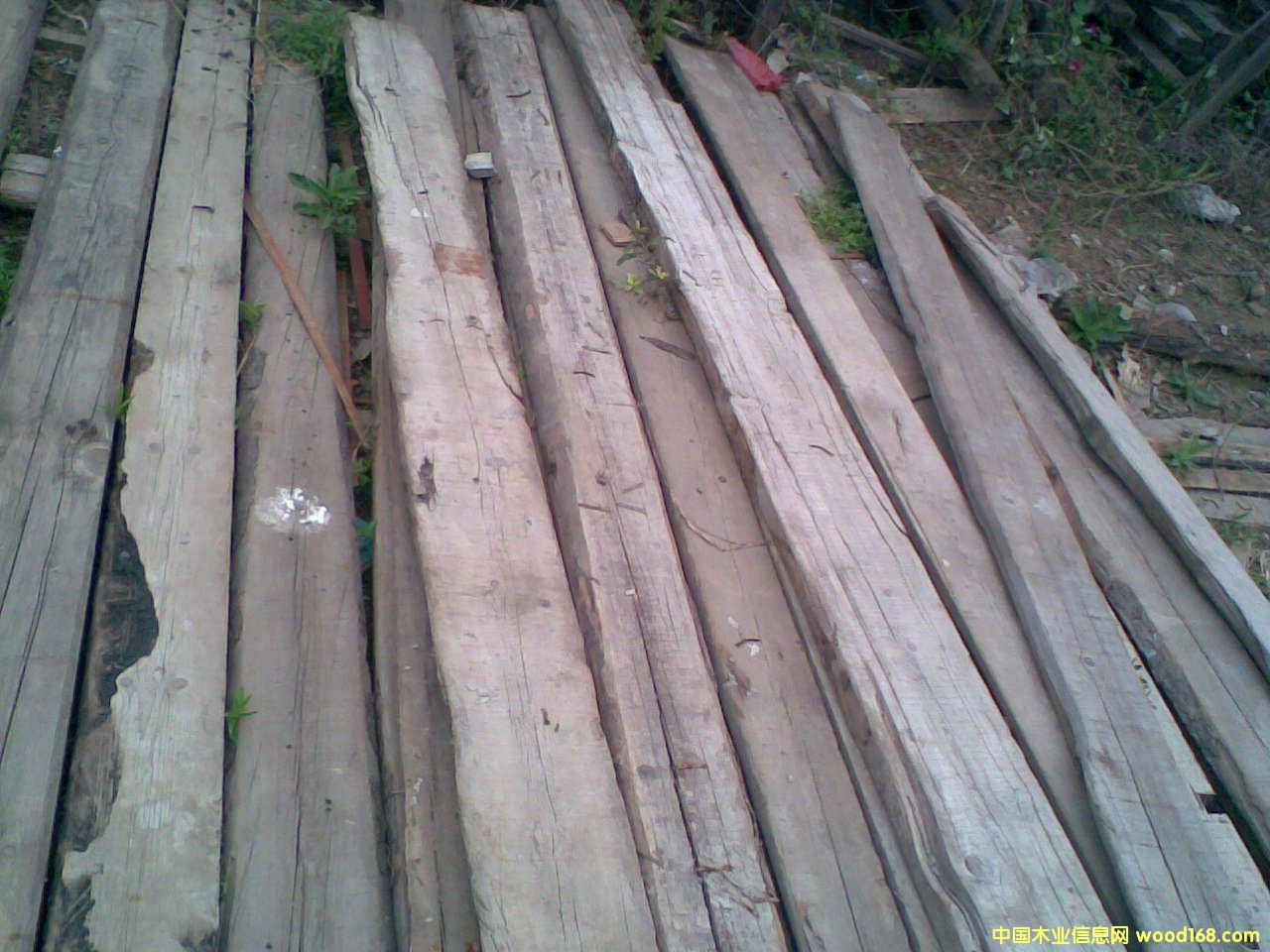 �c���鿴�f��ķŴ�DƬ