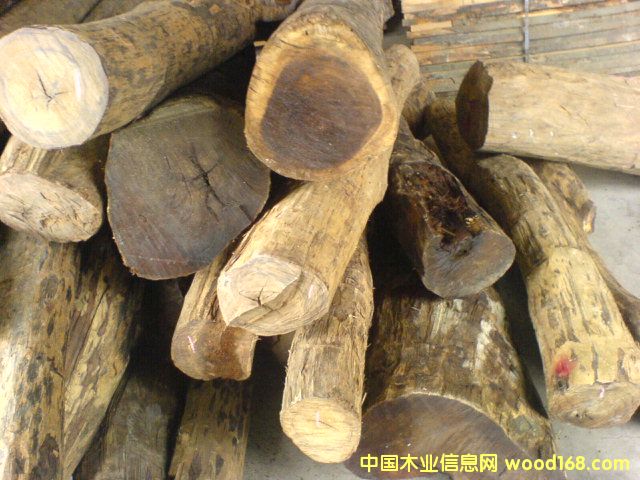 �c(di��n)���鿴��̴�Ŵ�DƬ