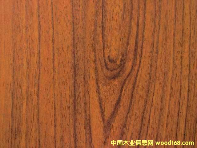 �c���鿴���n���Ŵ�DƬ