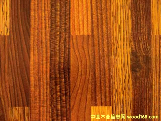 �c���鿴���n���Ŵ�DƬ