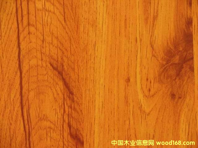 �c���鿴���n���Ŵ�DƬ