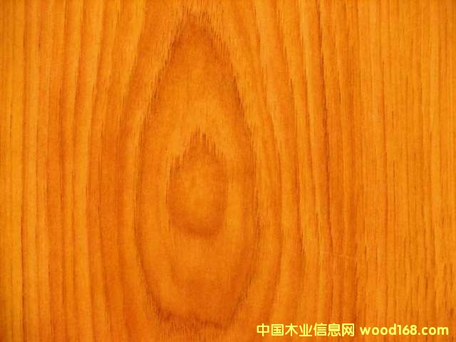 �c���鿴���n���Ŵ�DƬ