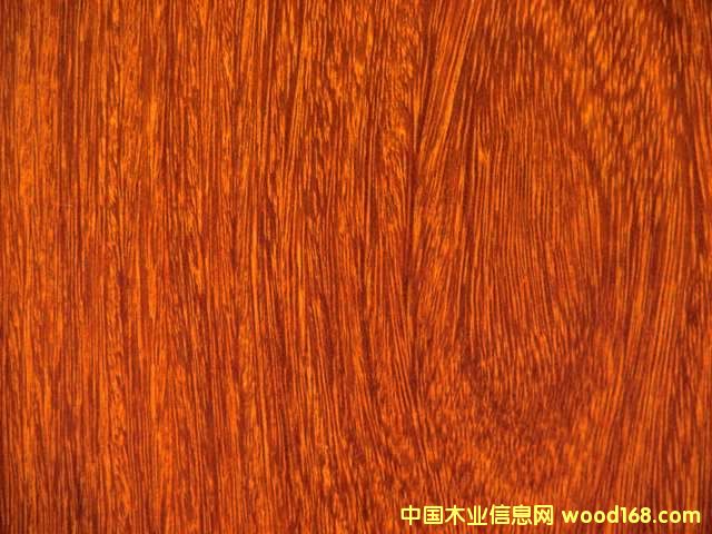 �c���鿴���n���Ŵ�DƬ