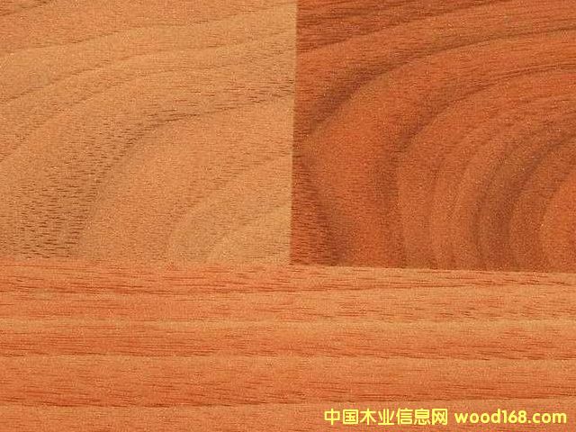 �c���鿴���n���Ŵ�DƬ