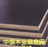 �c(di��n)���鿴����ģ���Ԕ��(x��)�Y��