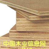 �c(di��n)���鿴�z�ϰ�Ŵ�DƬ