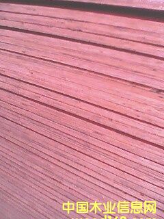 �c���鿴����ģ��Ŵ�DƬ