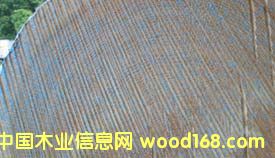 �����Ԕ����B