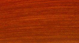 ����ᶹ��Ԕ����B