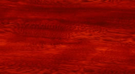 ��ľ��Ԕ����B