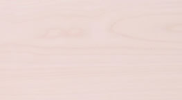 �ח���Ԕ����B